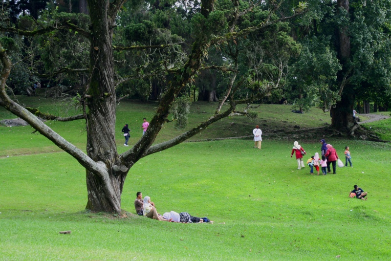 Salah satu taman di kebun raya Cibodas, asri dan memikat.