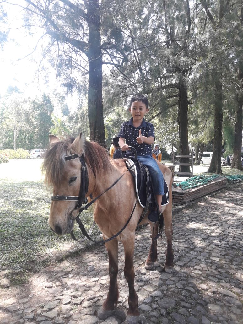 Anak-anak juga bisa naik kuda yang disediakan oleh pihak kebun raya sebagai bentuk fasilitas bagi para pengunjung KRC.