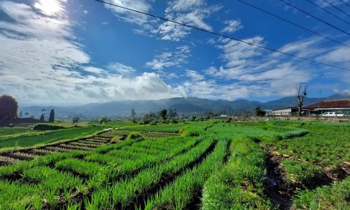 Jumlah Petani 91 Ribu, Alokasi Pupuk Subsidi Kementan untuk Kabupaten Bandung Hanya 36 Persen