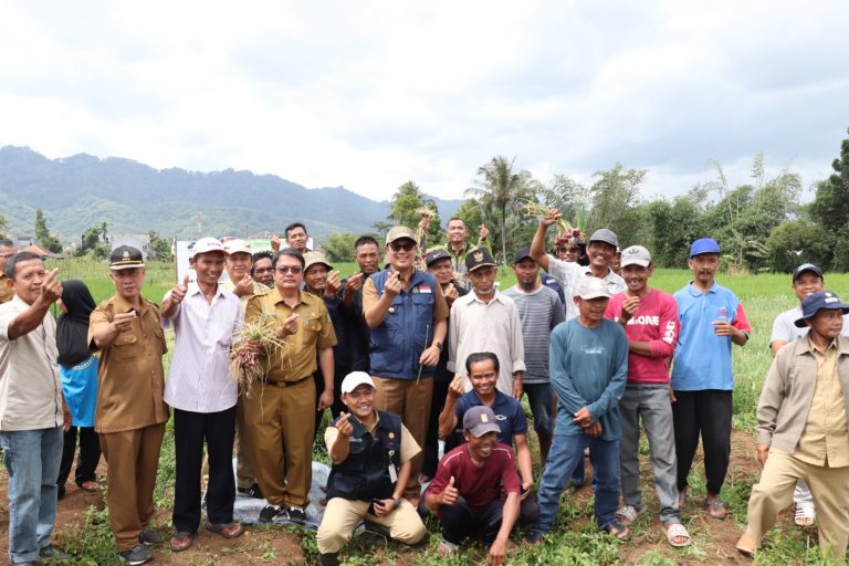 Panen Bawang Merah di Cibeureum, Wali Kota Sukabumi: Petani Jangan Tergoda Alih Fungsi Lahan