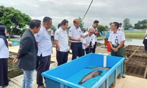 Kadis Perikanan Dampingi Kunker Menteri KKP di BBAT Sukabumi