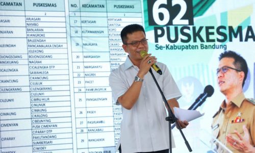 Kabupaten Bandung Raih 2 Penghargaan Nasional Bidang Kesehatan