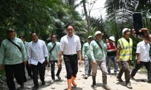 Whats_App_Image_2025_10_30_at_11_56_34_28436fdeda