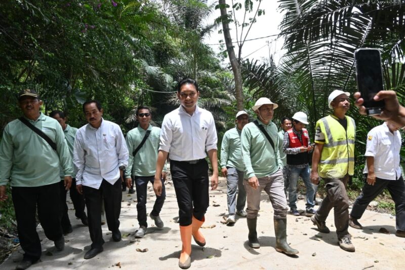 Whats_App_Image_2025_10_30_at_11_56_34_28436fdeda