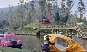IMG_20260705_172047