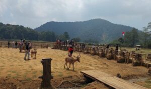IMG_20260815_194500