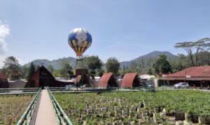 IMG_20261017_142451